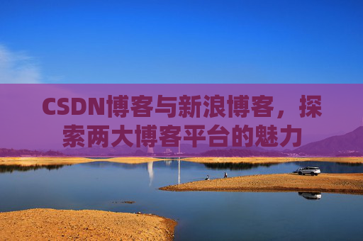 CSDN博客与新浪博客，探索两大博客平台的魅力